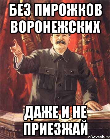 Без пирожков воронежских Даже и не приезжай, Мем  сталин цветной