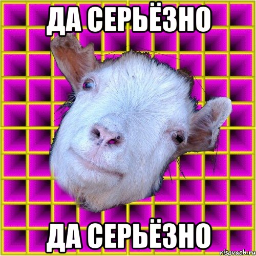 да серьёзно да серьёзно, Мем типичная коза
