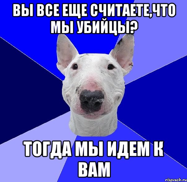 вы все еще считаете,что мы убийцы? тогда мы идем к вам, Мем типичный буль