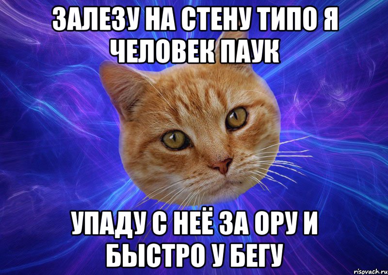 Лезть на стену. Мемы про котов. Мем Типичный кот. Мем про мяукающего котика оригинал. Котик бежит Мем.