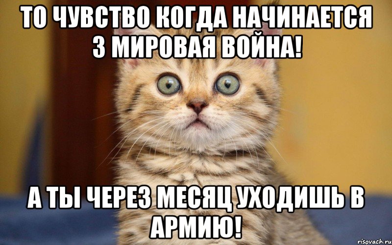 ТО ЧУВСТВО КОГДА НАЧИНАЕТСЯ 3 МИРОВАЯ ВОЙНА! А ТЫ ЧЕРЕЗ МЕСЯЦ УХОДИШЬ В АРМИЮ!, Мем  удивление