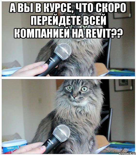 а вы в курсе, что скоро перейдете всей компанией на Revit?? , Комикс  кот с микрофоном