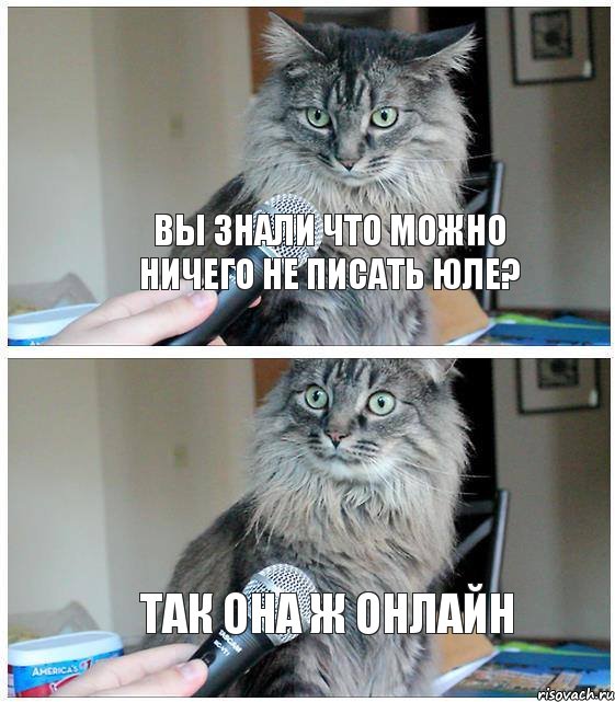 Вы знали что можно ничего не писать Юле? так она ж онлайн, Комикс  кот с микрофоном