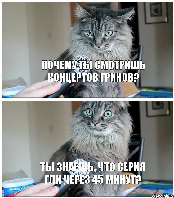 Почему ты смотришь концертов Гринов? Ты знаешь, что серия Гли через 45 минут?, Комикс  кот с микрофоном