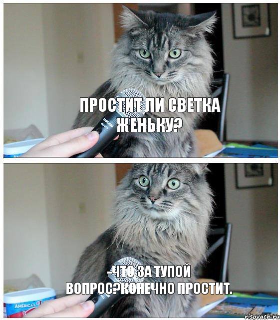 Простит ли Светка Женьку? -что за тупой вопрос?конечно простит., Комикс  кот с микрофоном