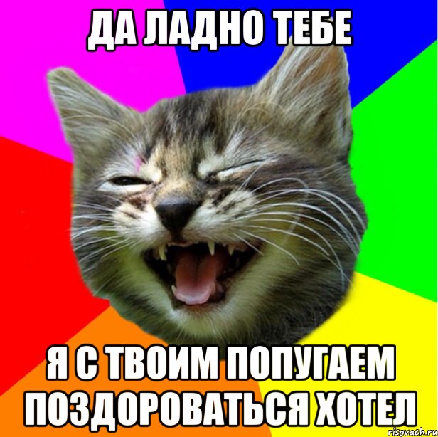 Да ладно. Да ладно тебе. Да ладно че ты. Котан Мем.