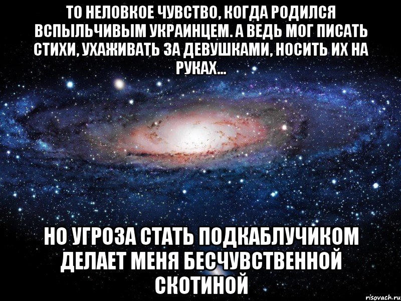 То неловкое чувство, когда родился вспыльчивым украинцем. А ведь мог писать стихи, ухаживать за девушками, носить их на руках... Но угроза стать подкаблучиком делает меня бесчувственной скотиной, Мем Вселенная