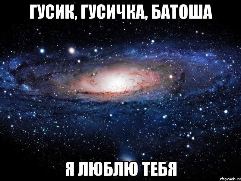 Гусик, Гусичка, Батоша я люблю тебя, Мем Вселенная