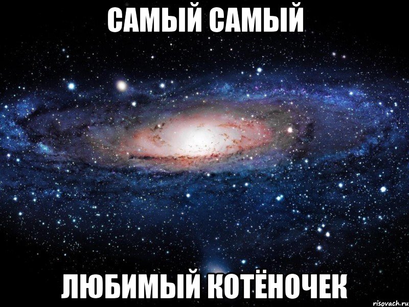 самый самый любимый котёночек, Мем Вселенная