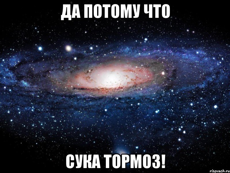 ДА ПОТОМУ ЧТО СУКА ТОРМОЗ!, Мем Вселенная