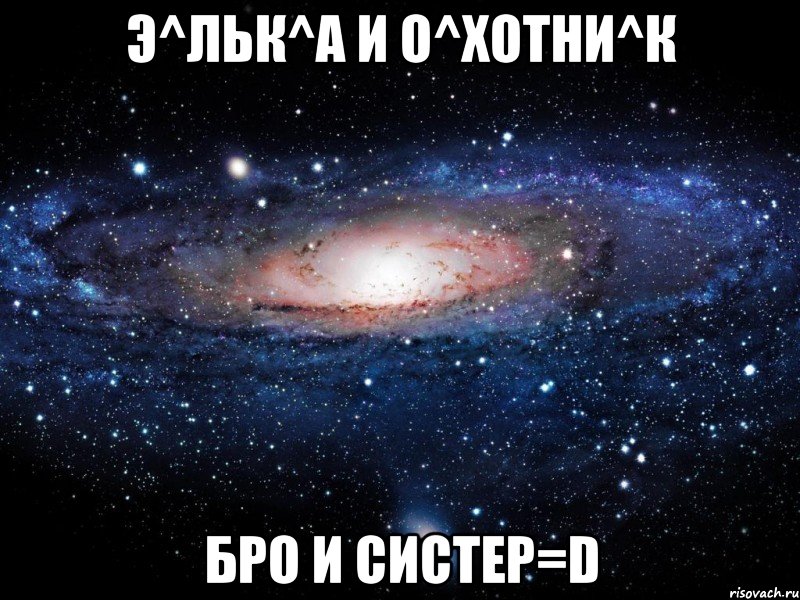 Э^ЛьК^А и О^хОтНи^К Бро и систер=D, Мем Вселенная