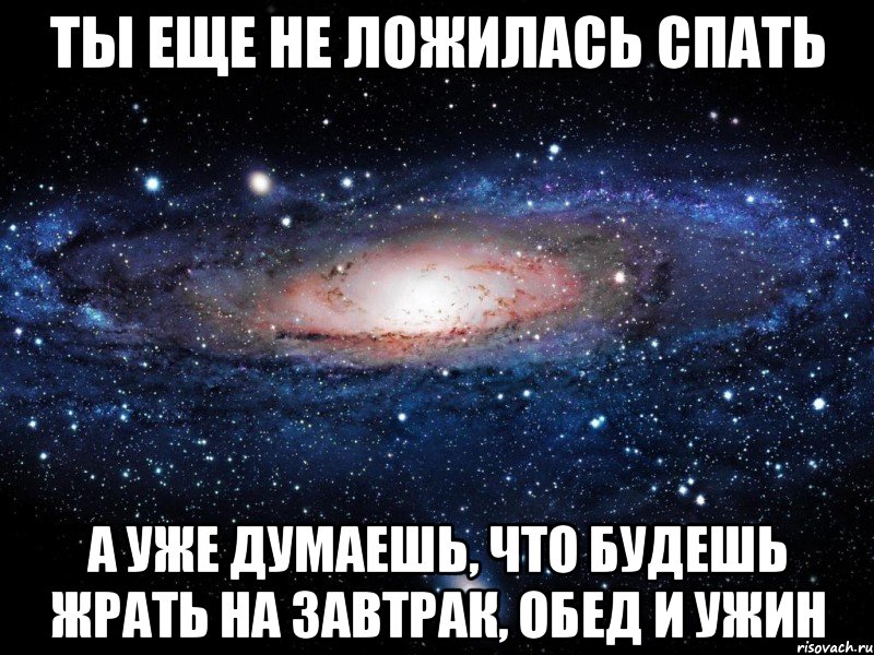 ты еще не ложилась спать а уже думаешь, что будешь жрать на завтрак, обед и ужин, Мем Вселенная