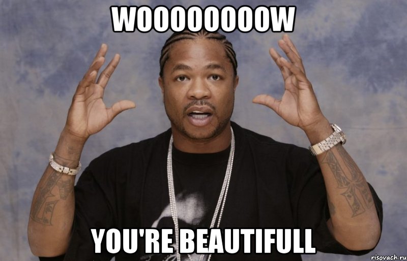 woooooooow you're beautifull, Мем Xzibit