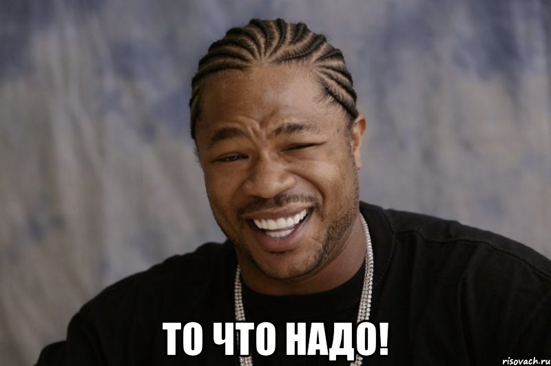  То что надо!, Мем Xzibit