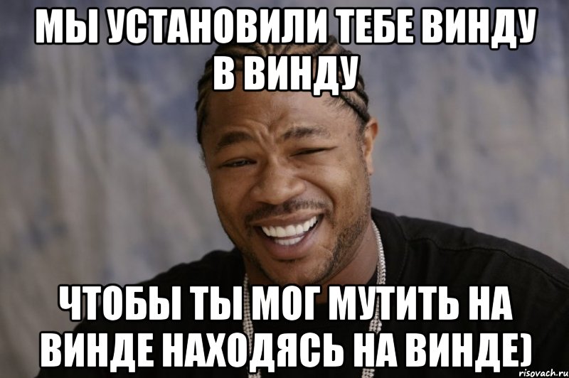 Мы установили тебе Винду в Винду Чтобы ты мог мутить на винде находясь на винде), Мем Xzibit