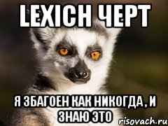 Lexich ЧЕРТ Я збагоен как никогда , и знаю это, Мем Я збагоен