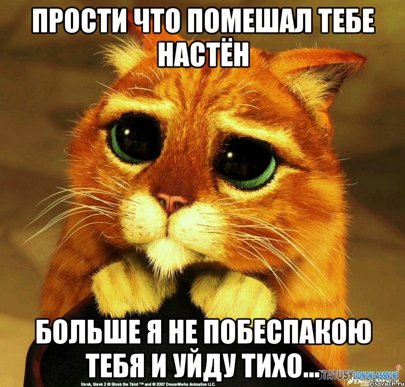 Прости что помешал тебе Настён Больше я не побеспакою тебя и уйду тихо..., Мем Котик из Шрека