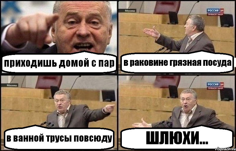 приходишь домой с пар в раковине грязная посуда в ванной трусы повсюду ШЛЮХИ..., Комикс Жириновский