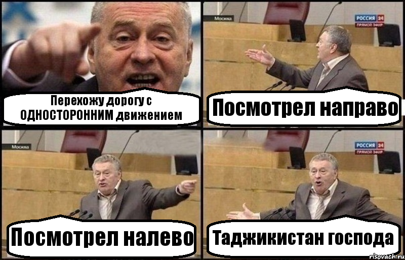 Перехожу дорогу с ОДНОСТОРОННИМ движением Посмотрел направо Посмотрел налево Таджикистан господа, Комикс Жириновский