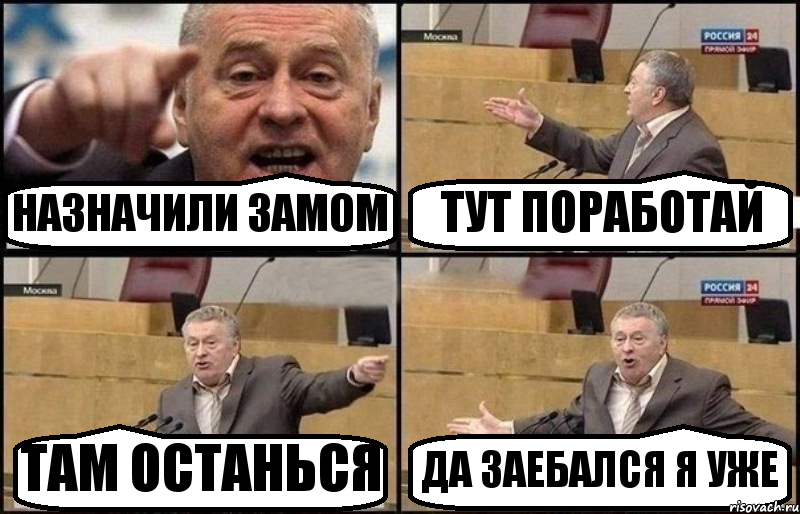 НАЗНАЧИЛИ ЗАМОМ ТУТ ПОРАБОТАЙ ТАМ ОСТАНЬСЯ ДА ЗАЕБАЛСЯ Я УЖЕ, Комикс Жириновский