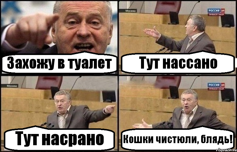 Захожу в туалет Тут нассано Тут насрано Кошки чистюли, блядь!, Комикс Жириновский