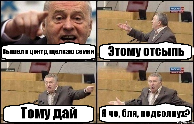 Вышел в центр, щелкаю семки Этому отсыпь Тому дай Я че, бля, подсолнух?, Комикс Жириновский