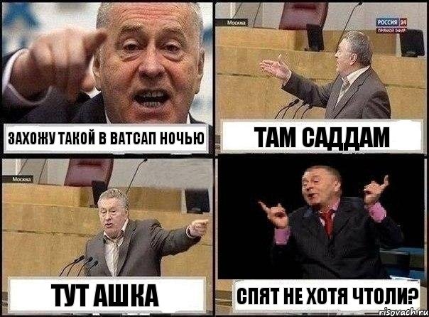 захожу такой в ватсап ночью там саддам тут ашка спят не хотя чтоли?, Комикс Жириновский клоуничает