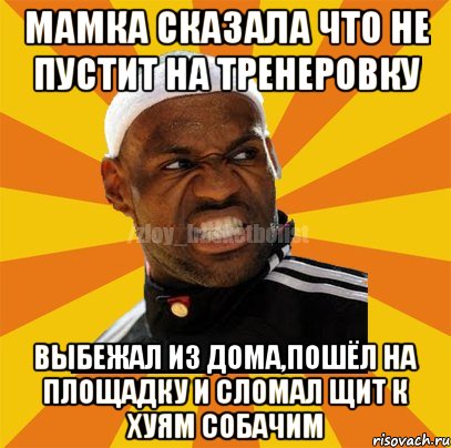 Мамка сказала что не пустит на тренеровку Выбежал из дома,пошёл на площадку и сломал щит к хуям собачим, Мем ЗЛОЙ БАСКЕТБОЛИСТ