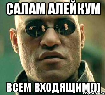 Салам алейкум. Всем Салам. Салам алейкум Мем. Сало Мем. Салам алейкум мемы.