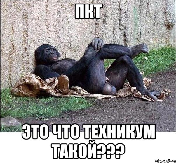 пкт это что техникум такой???, Мем а танцую я не очень