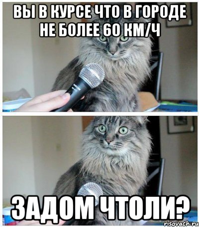 Вы в курсе что в городе не более 60 км/ч Задом чтоли?, Комикс  кот с микрофоном