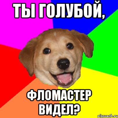 ТЫ ГОЛУБОЙ, ФЛОМАСТЕР ВИДЕЛ?, Мем Advice Dog