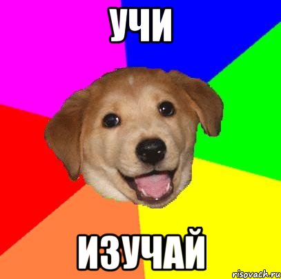 УЧИ ИЗУЧАЙ, Мем Advice Dog