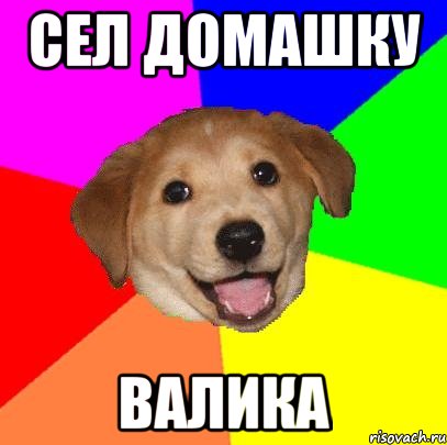 Сел домашку Валика, Мем Advice Dog