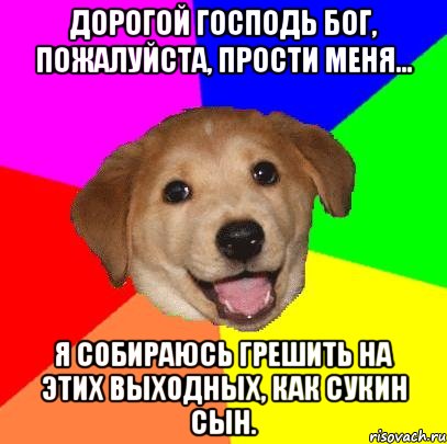 Дорогой Господь Бог, пожалуйста, прости меня... Я собираюсь грешить на этих выходных, как сукин сын., Мем Advice Dog