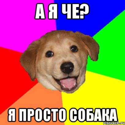 а я че? я просто собака, Мем Advice Dog