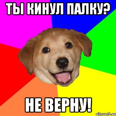 Ты кинул палку? Не верну!, Мем Advice Dog