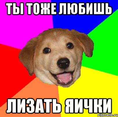 ты тоже любишь лизать яички, Мем Advice Dog