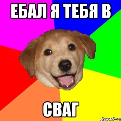 ебал я тебя в СВАГ, Мем Advice Dog