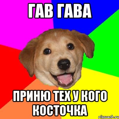 гав гава приню тех у кого косточка, Мем Advice Dog