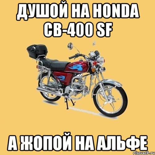 душой на Honda CB-400 sf а жопой на альфе, Мем альфа