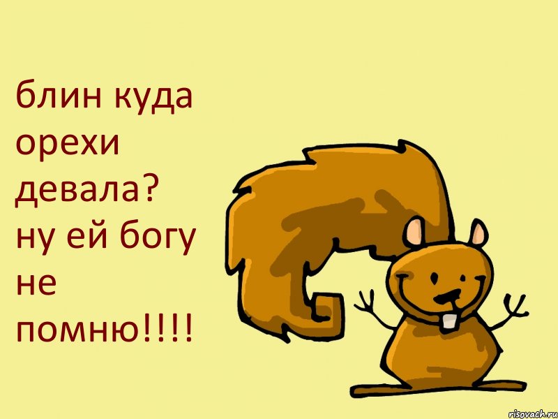 блин куда орехи девала? ну ей богу не помню!!!!, Комикс  белка