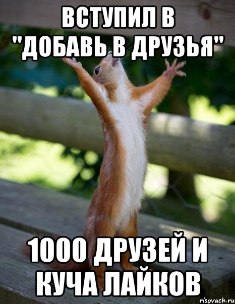 1000 друзей. Картинка Светка скоро гуляем.