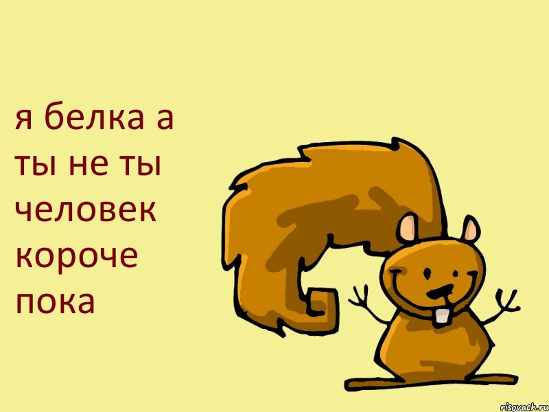 я белка а ты не ты человек короче пока, Комикс  белка