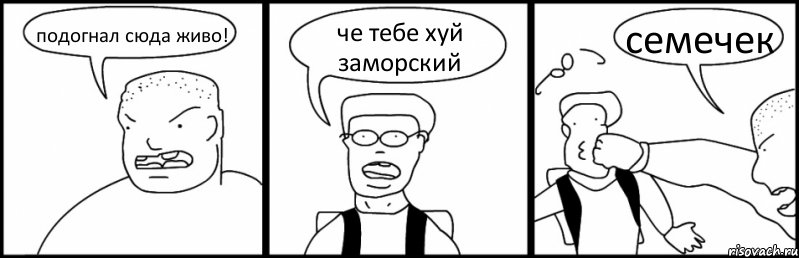 подогнал сюда живо! че тебе хуй заморский семечек, Комикс Быдло и школьник