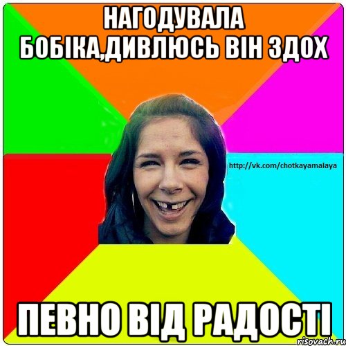 Нагодувала бобіка,дивлюсь він здох Певно від радості