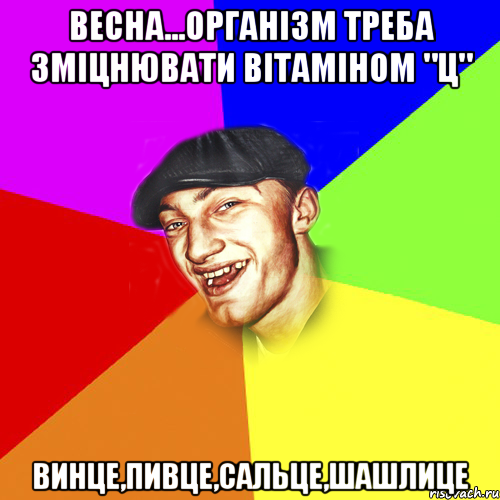 Весна...організм треба зміцнювати вітаміном "ц" винце,пивце,сальце,шашлице, Мем Чоткий Едик