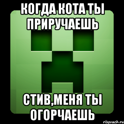 Когда кота ты приручаешь Стив,меня ты огорчаешь, Мем Creeper