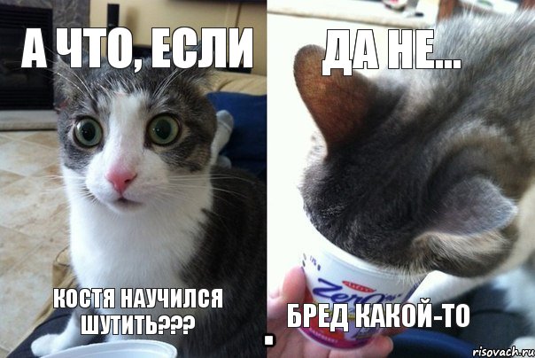 А что, если Костя научился шутить??? Да не... Бред какой-то, Комикс  Да не бред какой-то (4 зоны)