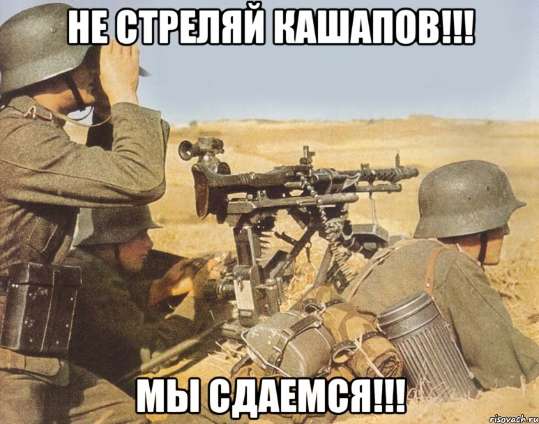 НЕ стреляй Кашапов!!! Мы сдаемся!!!, Мем дд